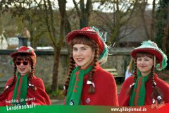 Faschingszug-Heidingsfeld-040
