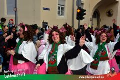 Faschingszug-Heidingsfeld-063