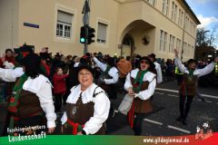 Faschingszug-Heidingsfeld-068