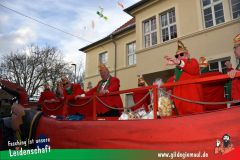 Faschingszug-Heidingsfeld-073