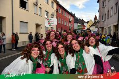 Faschingszug-Heidingsfeld-083