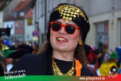 Faschingszug-Heidingsfeld-085