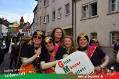 Faschingszug-Heidingsfeld-086