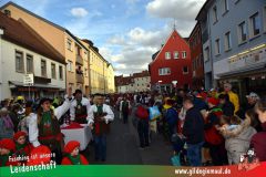 Faschingszug-Heidingsfeld-090