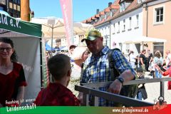 2025_Haetzfeld_hats-003