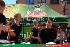 2025_Haetzfeld_hats-064
