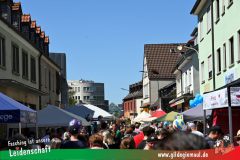 2025_Haetzfeld_hats-074