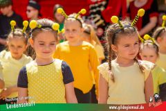 2025_Haetzfeld_hats_Weis_Wilfried-002