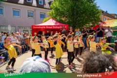 2025_Haetzfeld_hats_Weis_Wilfried-005