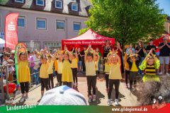 2025_Haetzfeld_hats_Weis_Wilfried-008