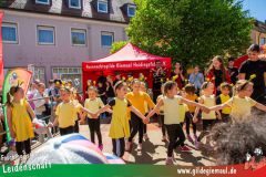 2025_Haetzfeld_hats_Weis_Wilfried-011