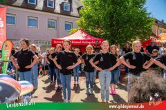2025_Haetzfeld_hats_Weis_Wilfried-012