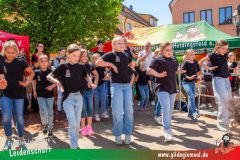 2025_Haetzfeld_hats_Weis_Wilfried-019
