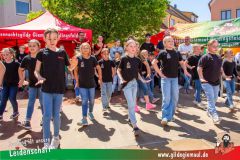 2025_Haetzfeld_hats_Weis_Wilfried-020