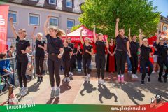 2025_Haetzfeld_hats_Weis_Wilfried-029