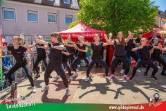 2025_Haetzfeld_hats_Weis_Wilfried-030