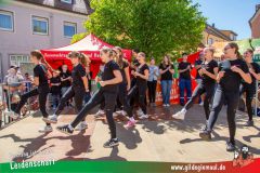 2025_Haetzfeld_hats_Weis_Wilfried-031