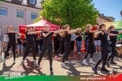 2025_Haetzfeld_hats_Weis_Wilfried-032