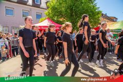 2025_Haetzfeld_hats_Weis_Wilfried-039