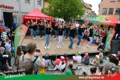 2024_Haetzfeld_hats-068
