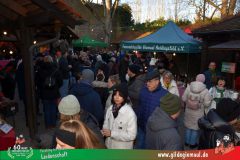 2025_Adventsmarkt-024