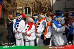 Faschingszug-Heidingsfeld-007