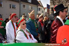Faschingszug-Heidingsfeld-011