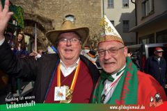 Faschingszug-Heidingsfeld-018