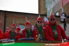 Faschingszug-Heidingsfeld-022