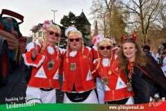 Faschingszug-Heidingsfeld-024