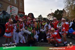 Faschingszug-Heidingsfeld-028