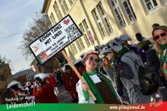 Faschingszug-Heidingsfeld-053