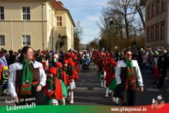 Faschingszug-Heidingsfeld-054