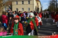 Faschingszug-Heidingsfeld-057
