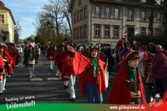 Faschingszug-Heidingsfeld-058