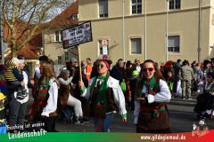 Faschingszug-Heidingsfeld-065