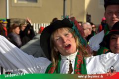 Faschingszug-Heidingsfeld-073