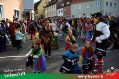 Faschingszug-Heidingsfeld-077