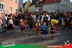 Faschingszug-Heidingsfeld-078