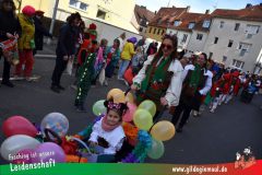 Faschingszug-Heidingsfeld-081