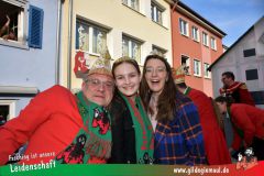 Faschingszug-Heidingsfeld-086