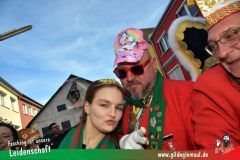 Faschingszug-Heidingsfeld-089
