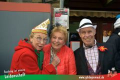 Faschingszug-Heidingsfeld-091