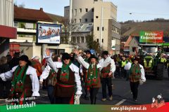 Faschingszug-Heidingsfeld-148