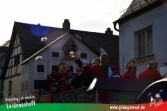 Faschingszug-Heidingsfeld-169