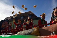 Faschingszug-Heidingsfeld-201