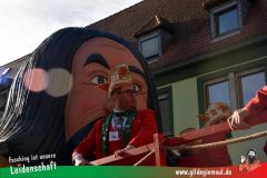 Faschingszug-Heidingsfeld-202