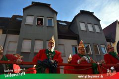 Faschingszug-Heidingsfeld-205