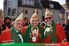 Faschingszug-Heidingsfeld