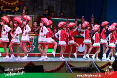 Haetzfelder-Kinderfasching-004